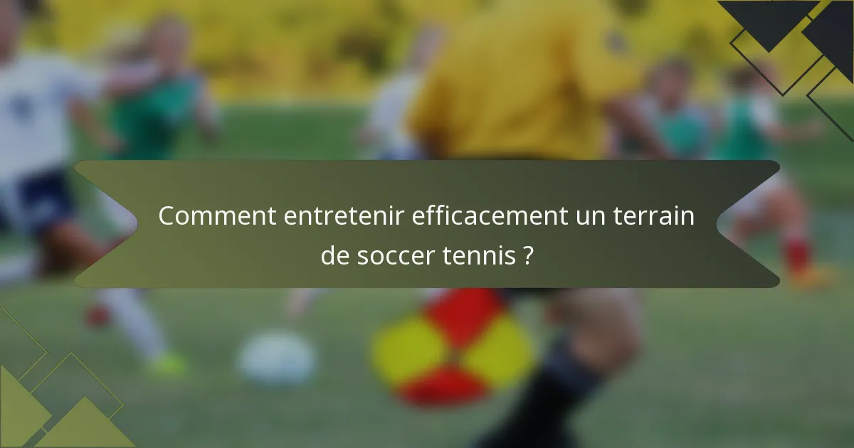 Comment entretenir efficacement un terrain de soccer tennis ?