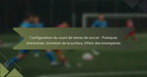 Configuration du court de tennis de soccer : Pratiques d’entretien, Entretien de la surface, Effets des intempéries