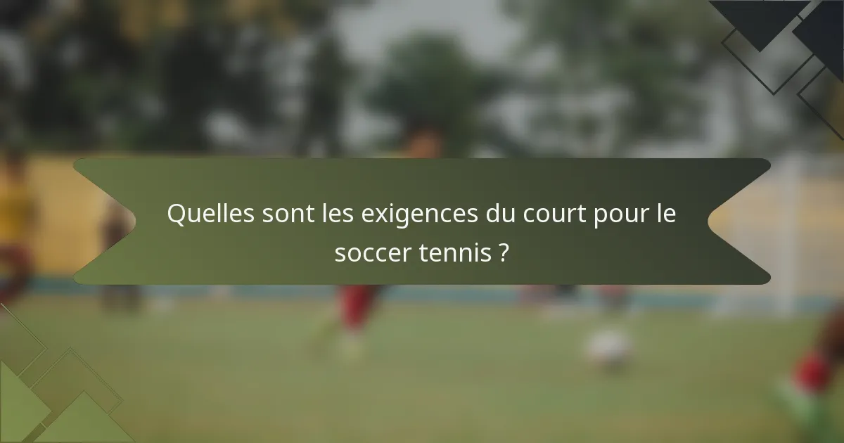 Quelles sont les exigences du court pour le soccer tennis ?