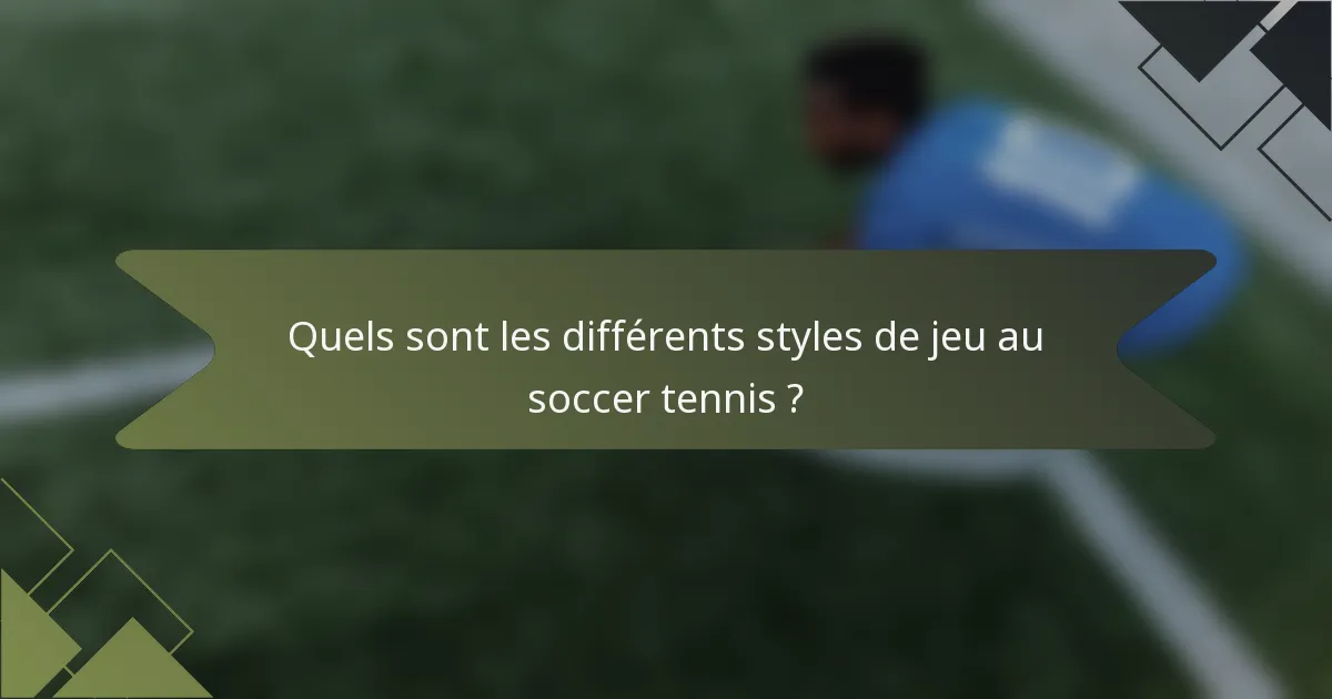 Quels sont les différents styles de jeu au soccer tennis ?