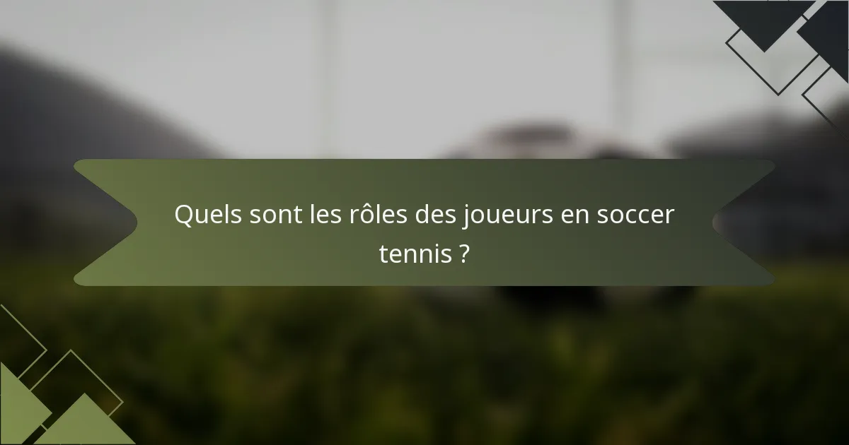 Quels sont les rôles des joueurs en soccer tennis ?