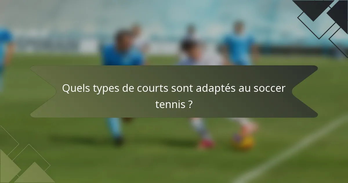 Quels types de courts sont adaptés au soccer tennis ?